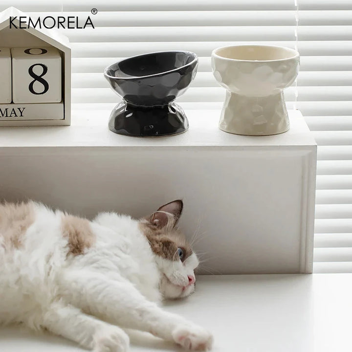 Ceramic Cat Bowl– Raised Gradient Food & Water Feeder for Cats & Small Dogs