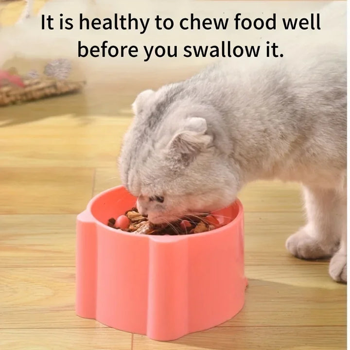 Elevated Cat Bowl – Slow Feed, Anti-Choking & Anxiety Relief 🐱🍽️