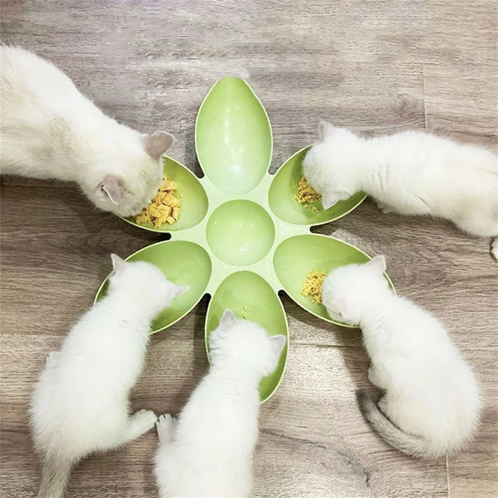 Cat Petal Bowl – Multifunctional Food & Milk Dish for Cats & Dogs 🐾🍽️