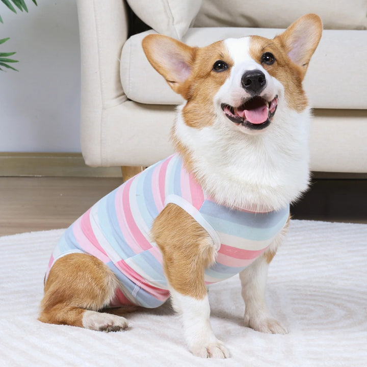 Pet Recovery Suit – Dog & Cat Surgery Vest